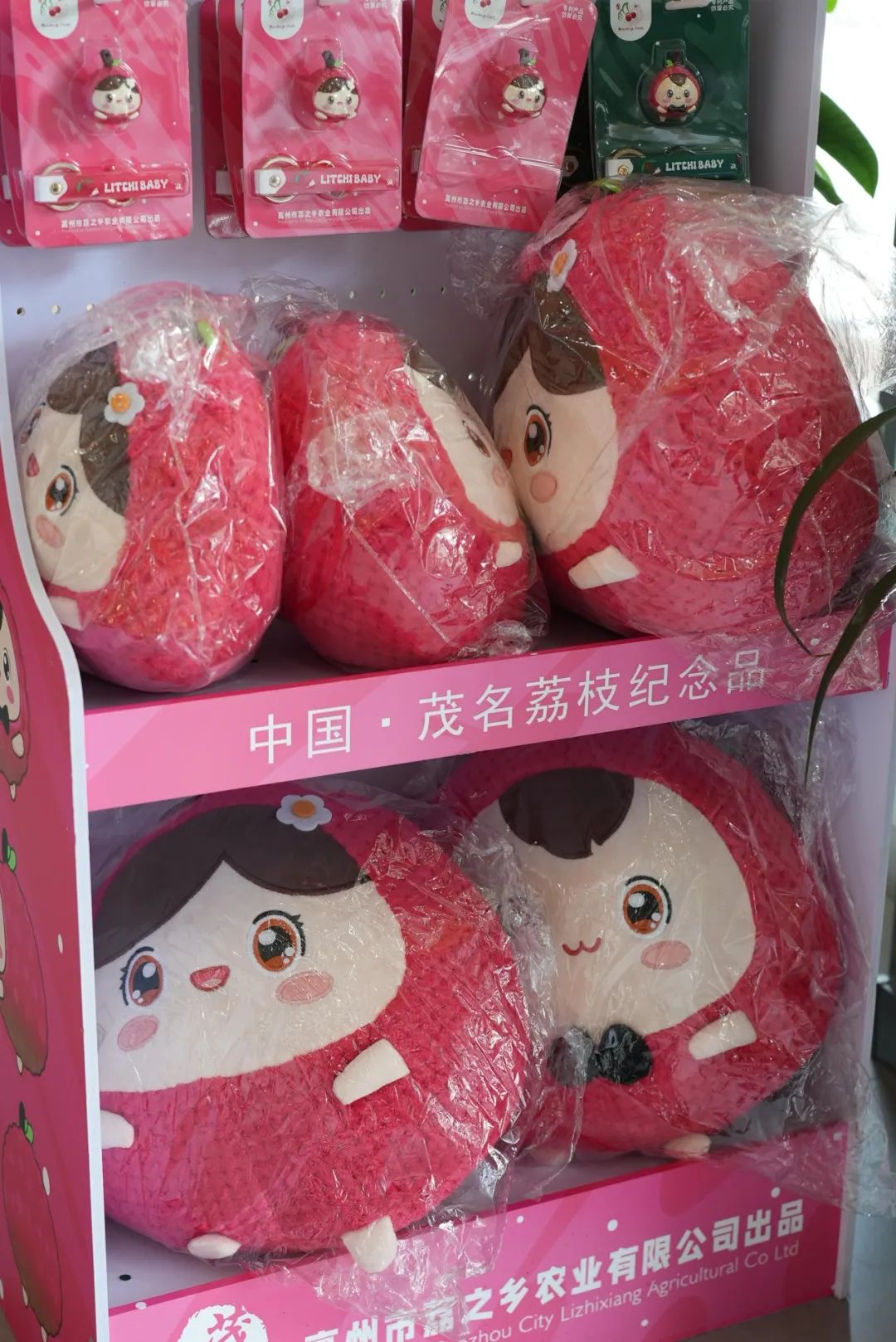 圖片